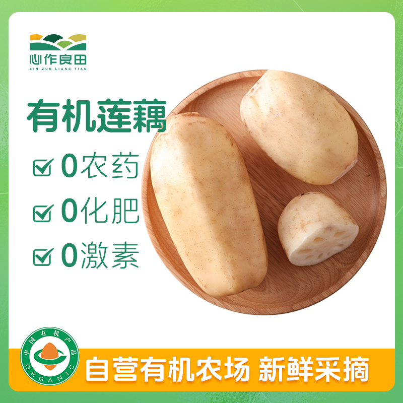 有机莲藕400g