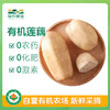 有机莲藕400g 商品缩略图0