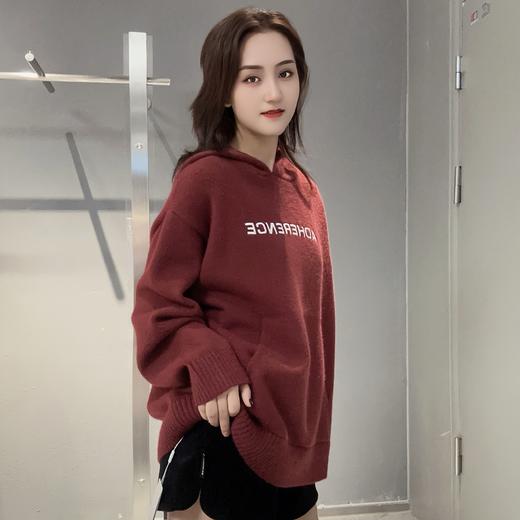 ZB1帽领小图宽松毛织上衣41005 冬季 244010470321 商品图2