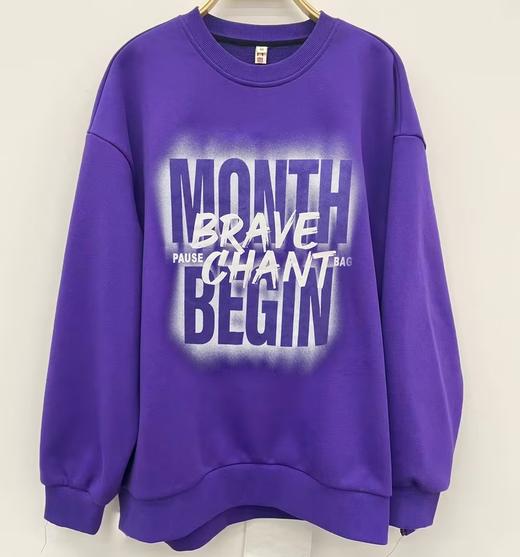 ZB1圆领大字母图案卫衣41005（紫黑） 冬季 944010240321 商品图4