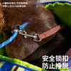 zeze撞色条纹宠物休闲包-B（包邮） 商品缩略图1