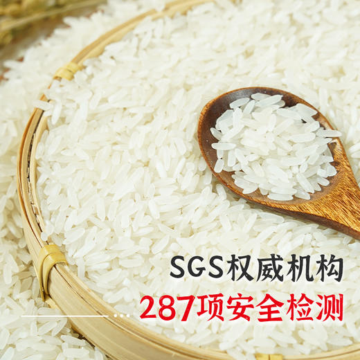 陇间柒月甄选.富硒大米（5kg） 商品图4