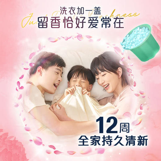 MM 山姆 当妮（Downy）护衣留香珠 自由之森 1kg 商品图1