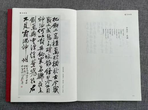 冯剑星《阳夏词痕》签名版！用100个词牌创作100首词，邀100位书坛名家复古集唱！ 商品图4