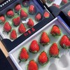 精选黑盒~丹东99草莓【12粒大果 净重约250克/盒】 商品缩略图6