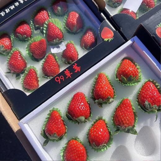 精选黑盒~丹东99草莓【12粒大果 净重约250克/盒】 商品图6