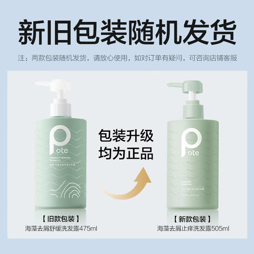 【鼎】柏缇海藻益生菌去屑滋养洗发露505ml 商品图0