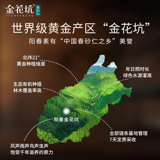 ³加赠8粒B级干果【金花坑春砂仁根100g/罐】可以多煲汤/煮茶喝 XN03-CRMM-CSR 商品图4