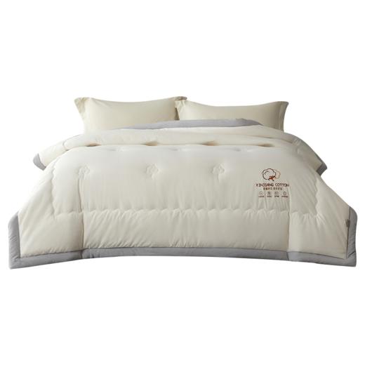 红豆/HONGDOU | 新疆云感棉花被 200*230cm HD-DB240903 商品图0