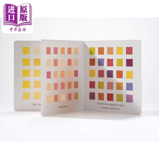 【中商原版】凯迪克荣誉作家兼插画家Aaron Becker 英文原版光影颜色书3册 My Favorite Color You Are Light Winter Light  商品图3