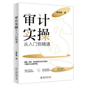 审计实操从入门到精通 杨舒童 著 北京大学出版社