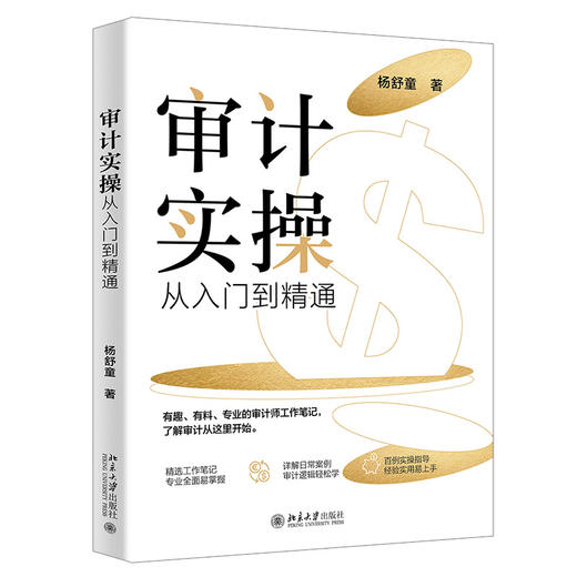 审计实操从入门到精通 杨舒童 著 北京大学出版社 商品图0