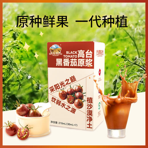 【黑番茄原浆】大漠紫光 浓缩原浆鲜榨番茄汁 花青素饮品  30ml*15袋/盒 商品图4