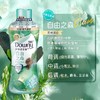 MM 山姆 当妮（Downy）护衣留香珠 自由之森 1kg 商品缩略图3
