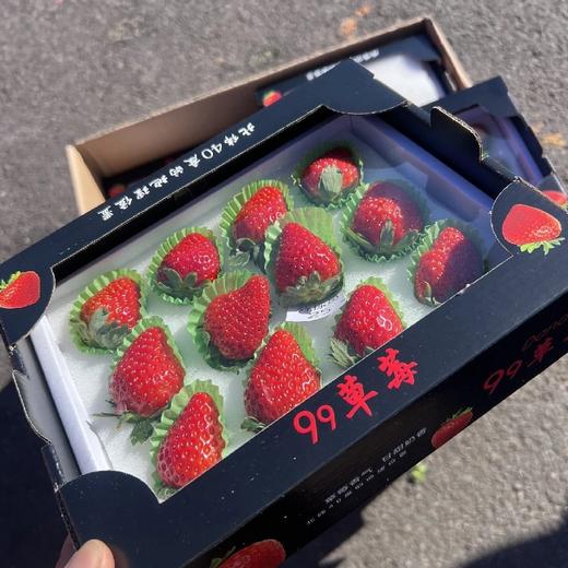 精选黑盒~丹东99草莓【12粒大果 净重约250克/盒】 商品图8