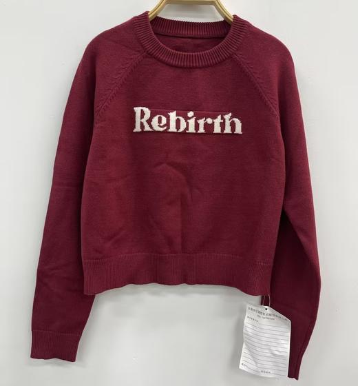 Z2圆领撞色小字母毛织上衣40930（红） 冬季 244010530321 商品图4