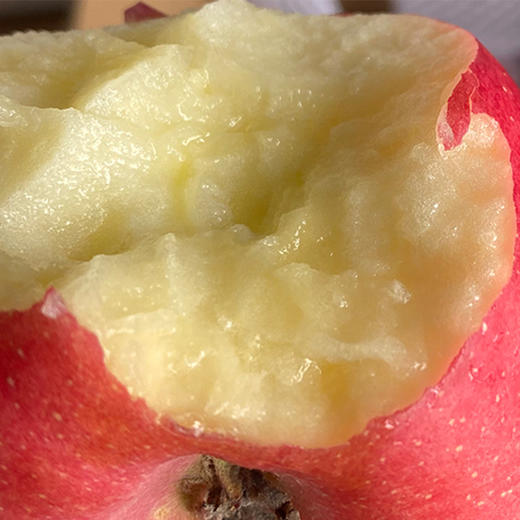 甘肃静宁红富士苹果，荣获多年土壤保健示范园荣誉！ 商品图3