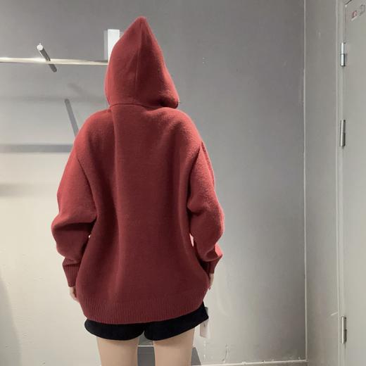 ZB1帽领小图宽松毛织上衣41005 冬季 244010470321 商品图1