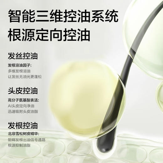 【鼎】柏缇北非雪松控油蓬松洗发露505ml 商品图2