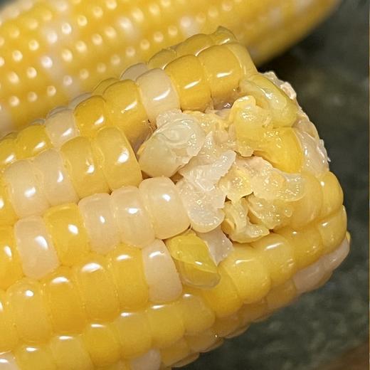 长白山 深山黄白糯玉米 商品图0