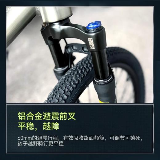 萌兽montresor儿童自行车Eques系列 商品图5