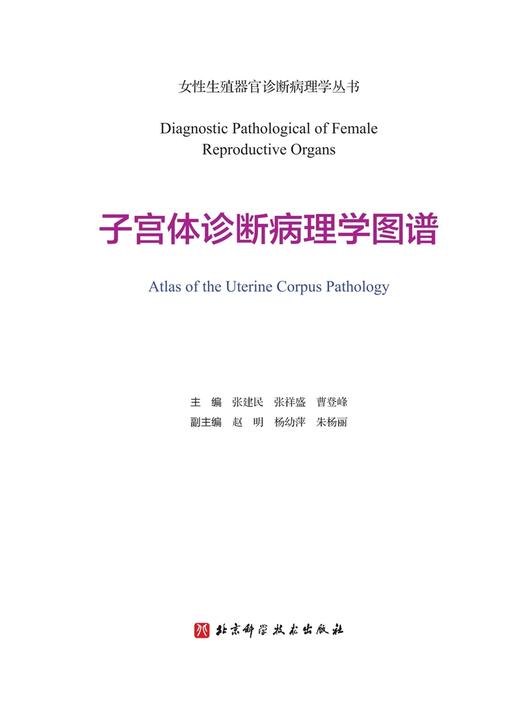 女性生殖器官诊断病理学丛书.2：子宫体诊断病理学图谱 商品图2