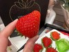 🍓🍓当仁不让的颜值代表【丹东红颜九九草莓】🍓简直太治愈了！草莓香味浓郁，带着淡淡的奶香✅每一颗都来自果农的精心呵护☂️ 只为让你吃上一口安心草莓🍓酸酸甜甜，超级美味😋 商品缩略图2