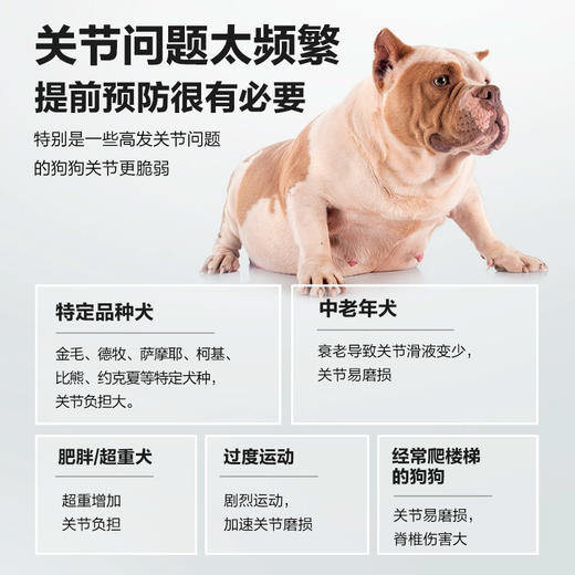 「关节护理工」卫仕 关节舒片400片 商品图2