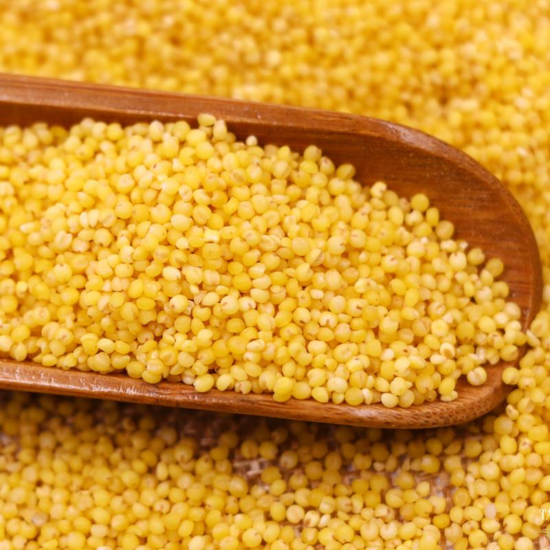 2025年新小米发货【米脂小米420g*5袋】|  农家小米，现磨现发，鲜香营养