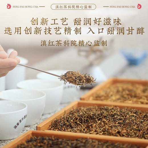 【新品】凤牌滇红云南红运当头200g伴手礼独立袋装40包 商品图2