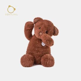 softlife 小熊岚迪 -深棕