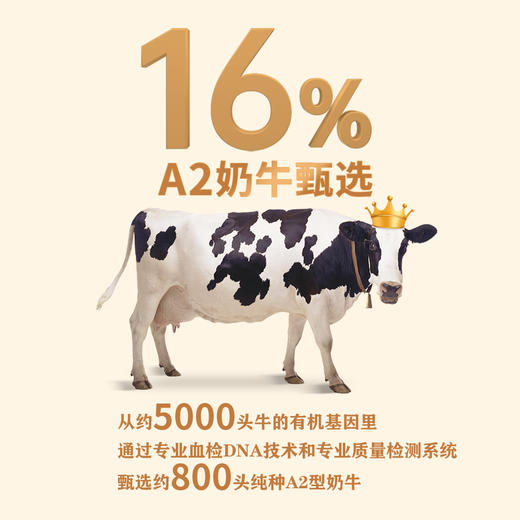 【A2蛋白专注吸收】圣牧有机A2β-酪蛋白纯牛奶 200ml*10盒*2箱 3.6g蛋白质 商品图3