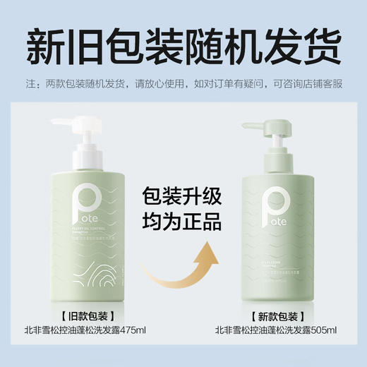 【鼎】柏缇北非雪松控油蓬松洗发露505ml 商品图4
