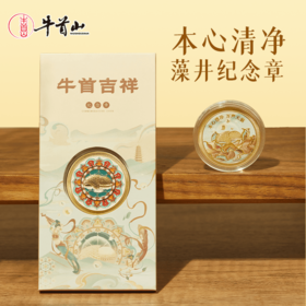 牛首山本心清净藻井纪念章锌合金景区旅游纪念收藏送好友生日礼物