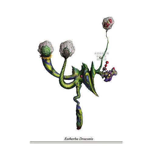 【非限量编号版】自然纪事：塞拉菲尼原画复刻版 无书签 商品图2