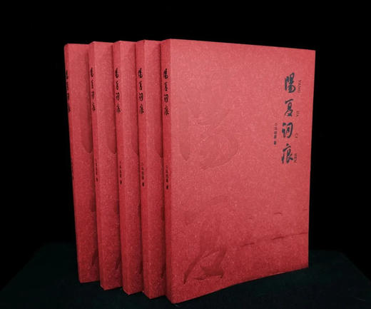 冯剑星《阳夏词痕》签名版！用100个词牌创作100首词，邀100位书坛名家复古集唱！ 商品图0