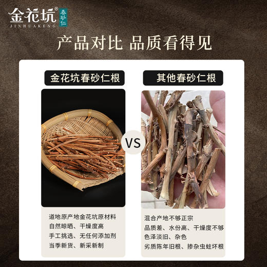 ³加赠8粒B级干果【金花坑春砂仁根100g/罐】可以多煲汤/煮茶喝 XN03-CRMM-CSR 商品图3