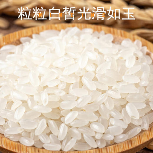 米妹妹五常香米（真空袋装）2.5kg 商品图1