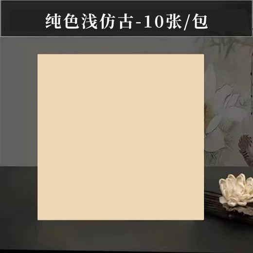 【特惠专区】书画专用卡纸   捡漏啦！！33*33/30*50/33*66卡纸 半生熟 10张/包 商品图1
