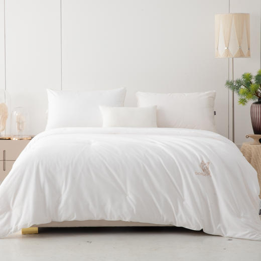 多喜爱-蚕丝被<梦回丝路加厚蚕丝冬被>，下单即赠送同规格水暖床垫 商品图0