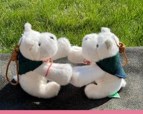 Meet-Edinburgh |苏格兰西高地