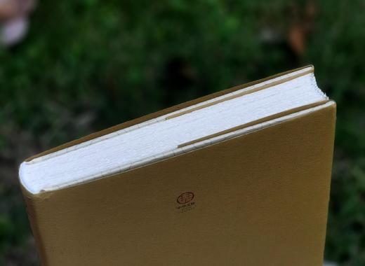 《灵魂之水：芬芳酒香里的中华文踪》，精装，16开，王守国、卫绍生著，大象出版社2024年3月一版一印，333页，定价108，售价86. 商品图3