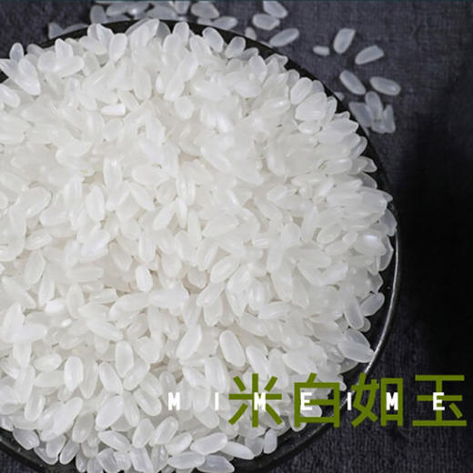米妹妹鲜香贡米5kg 商品图2