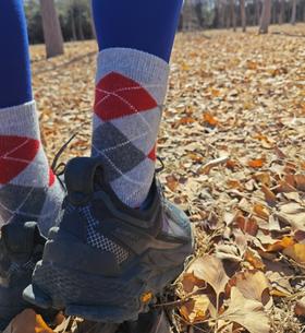 55%美利奴羊毛袜！79元4双！穿了就脱不下来！