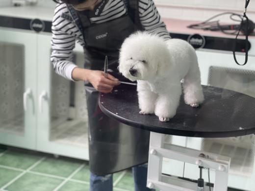 爱犬美浴 商品图12