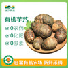有机芋艿400g 商品缩略图0