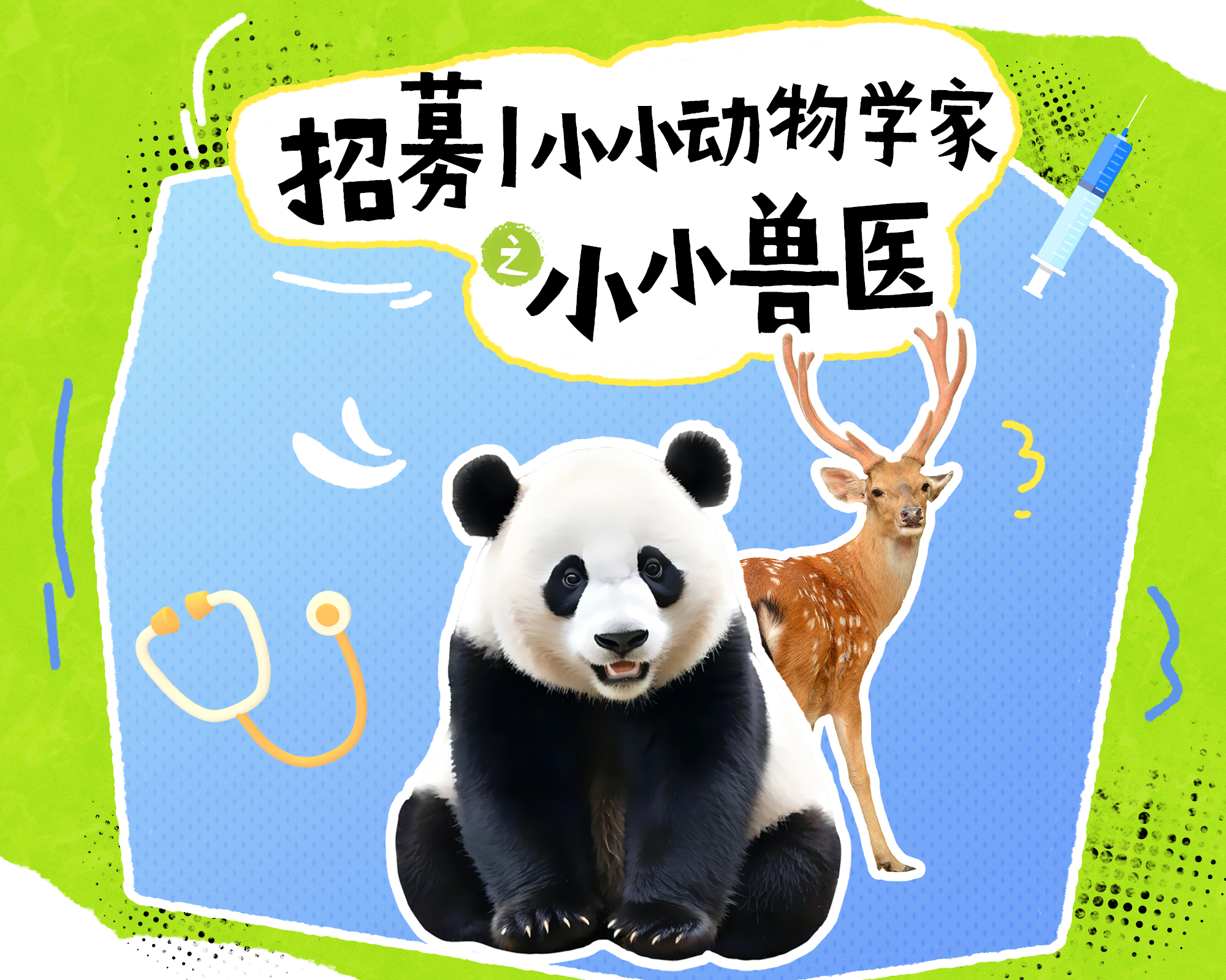 招募｜小小动物学家之小小兽医