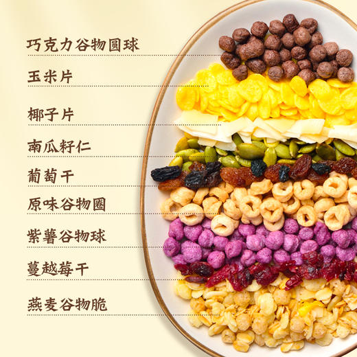 水果坚果燕麦片 400g/袋  新旧包装随机发 商品图2