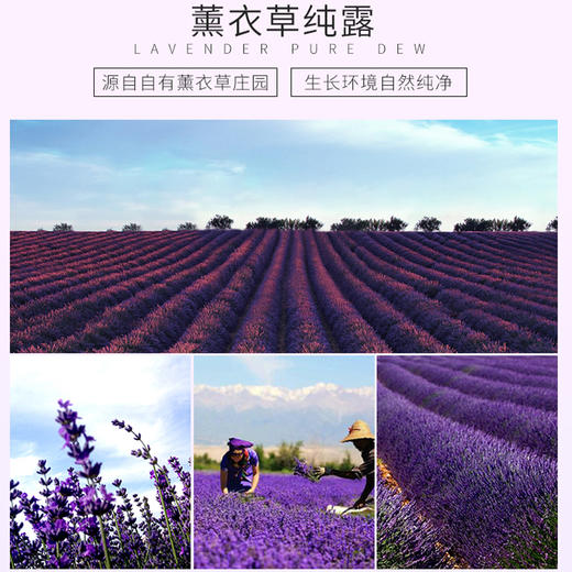 伊帕尔汗薰衣草精油香薰精油精油官方旗舰店 商品图11