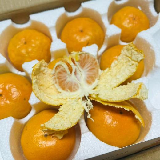 毫无保留的涌泉蜜橘，皮薄如纸，甜不设防 蜜橘
比起搬运工，我们更像是践行者，把正宗产地的涌泉蜜橘搬出大山，让您能真正体验最初的味道 商品图3